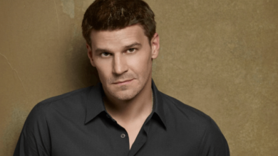 David Boreanaz Net Worth