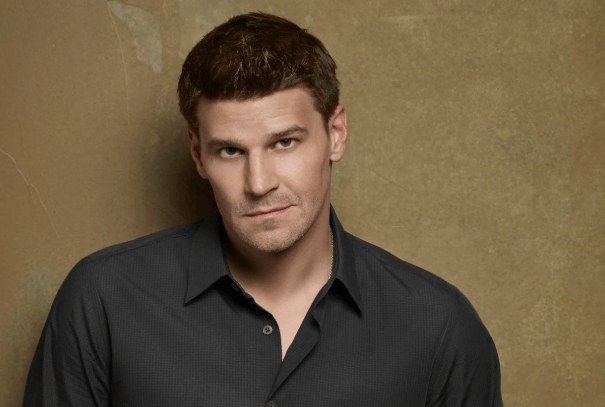 David Boreanaz Net Worth