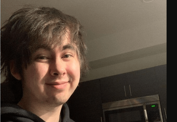 LeafyIsHere Net Worth