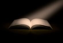 mopoha platform comprehension guide