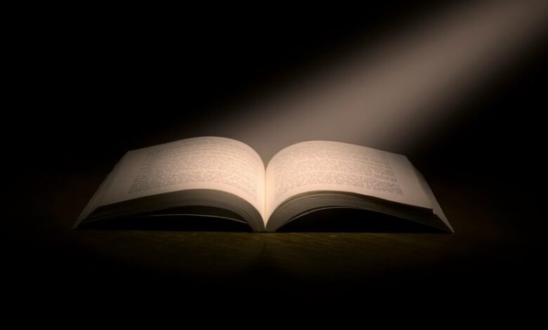 mopoha platform comprehension guide