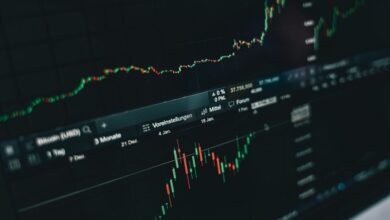top stock picks insights